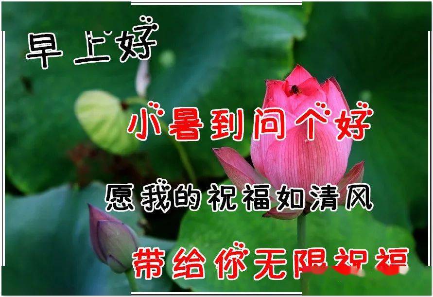 不用打字就可以聊天的图片