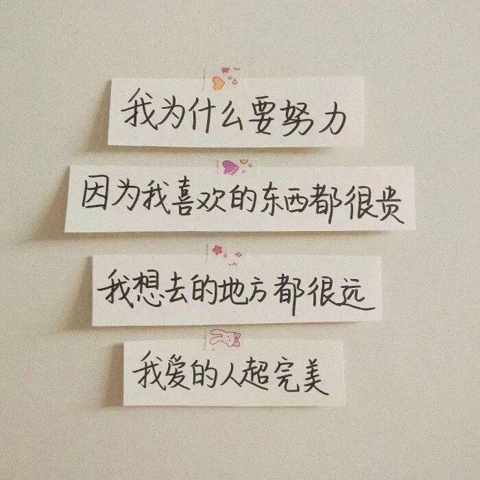 背景图|背景图 | 夜里有灯，你看这个世界并不坏
