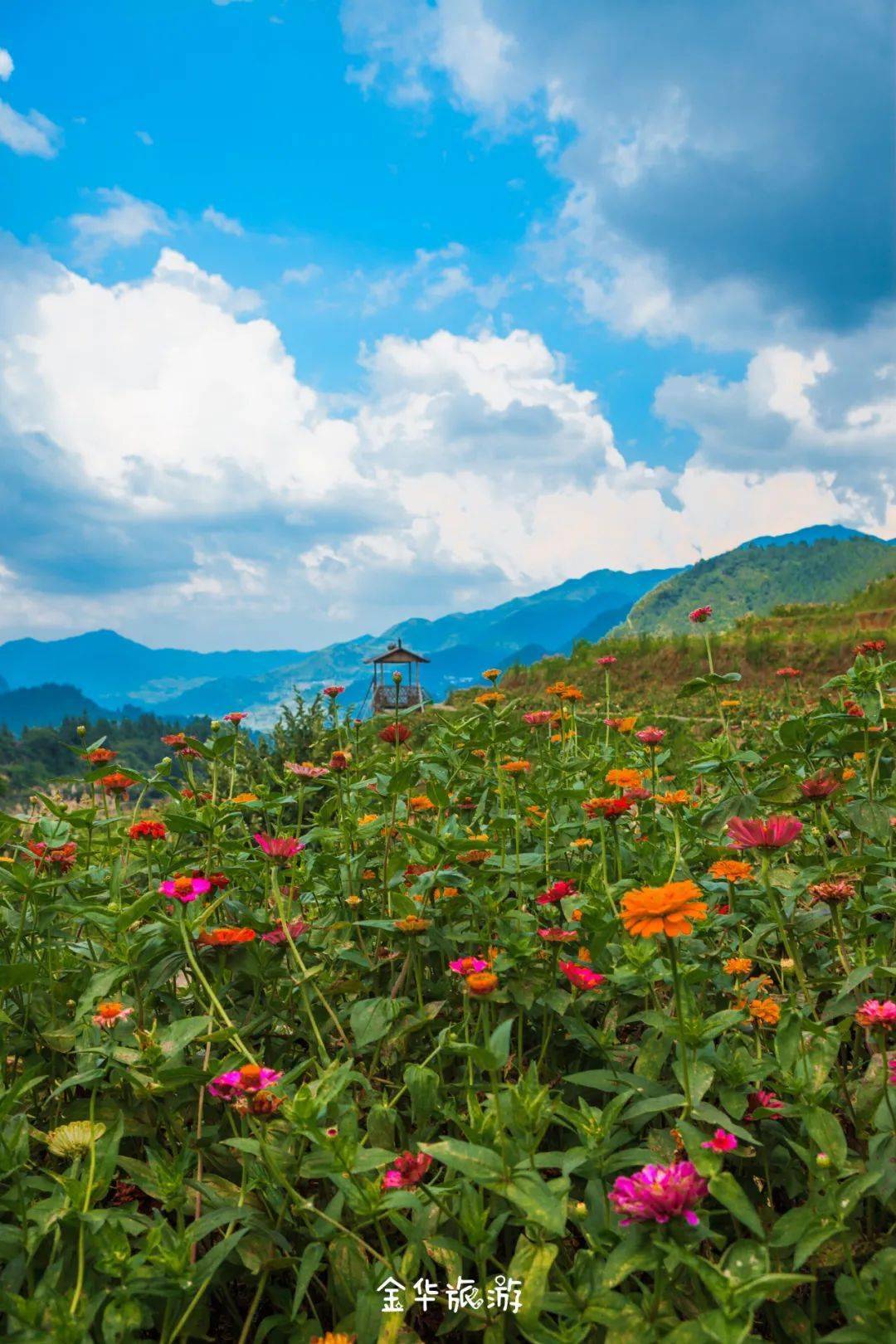藏于金华南山深处!