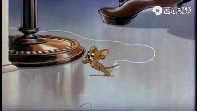 猫和老鼠:杰瑞死亡前记忆,从中间被分割,汤姆太狠心了!