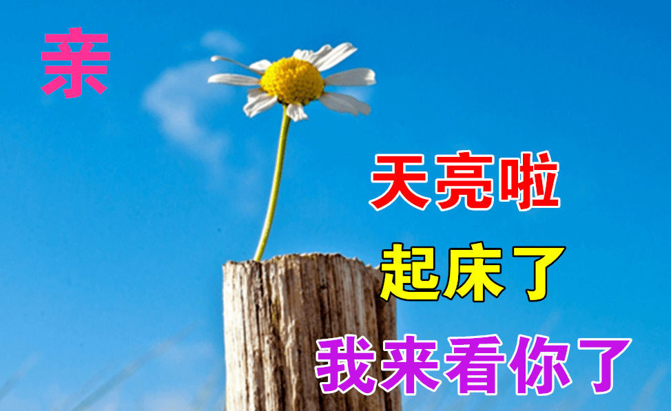 最漂亮早上好动态表情图片及动图美图大全五种静心技巧让生命成为一种
