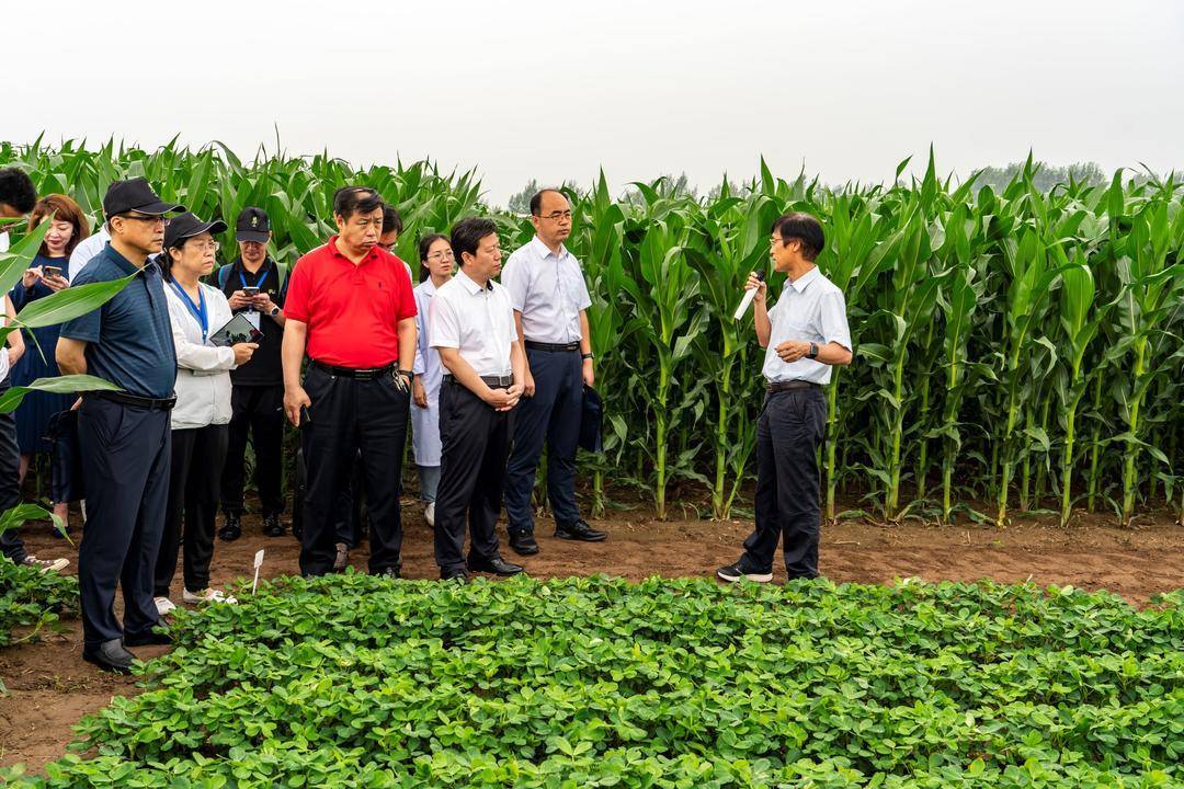 技术|气候智慧型农业来了，辽宁一地已有示范区