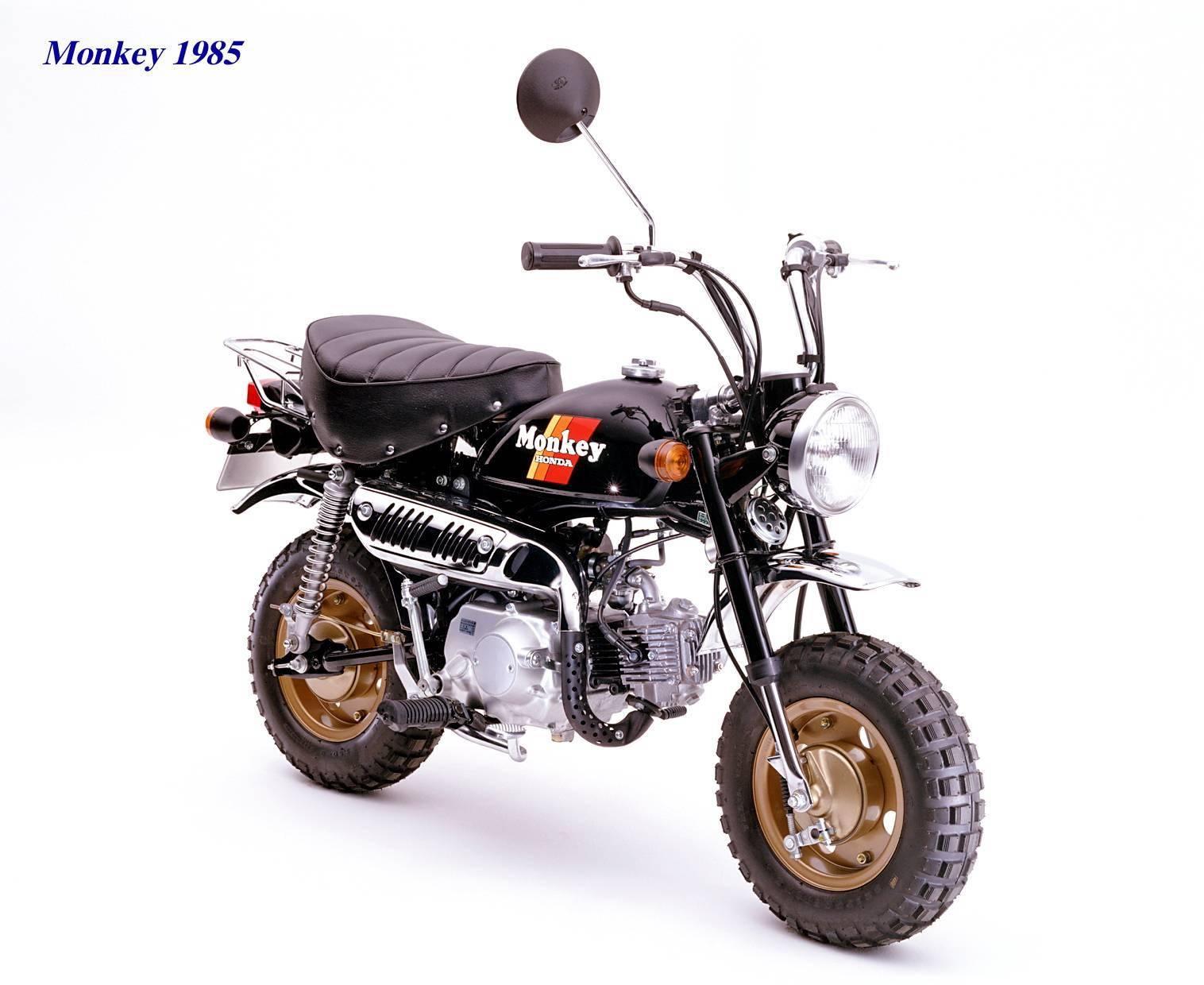 下面的图片,从上世纪七十年代末开始推出的 gorilla " 大猩猩 ".