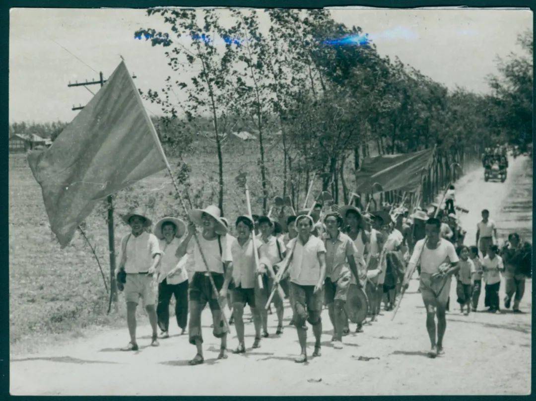 最高人民检察院下放到沙洋劳改农场的人员参加集体劳动.