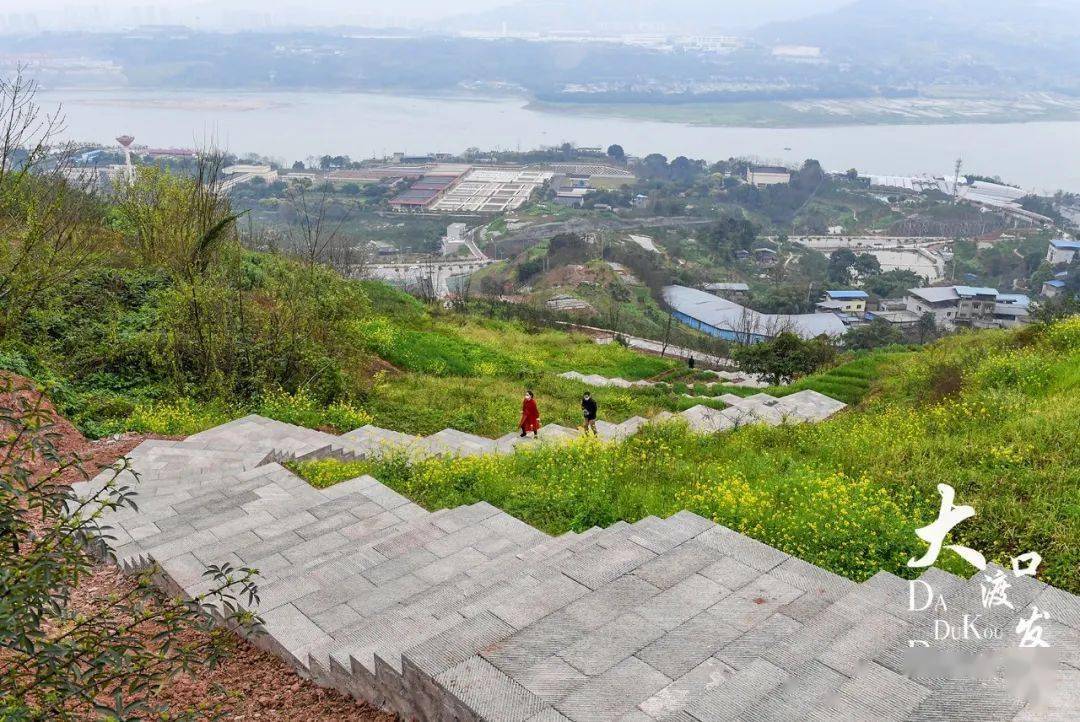 一起"夏"跳磴丨打卡金鳌山登山步道,瞰田园美景_大渡口区