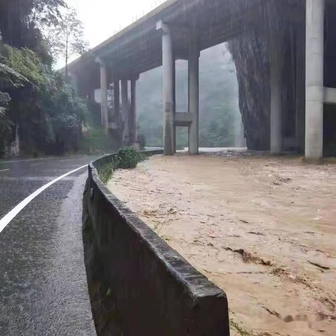 西乡,镇巴,洋县.