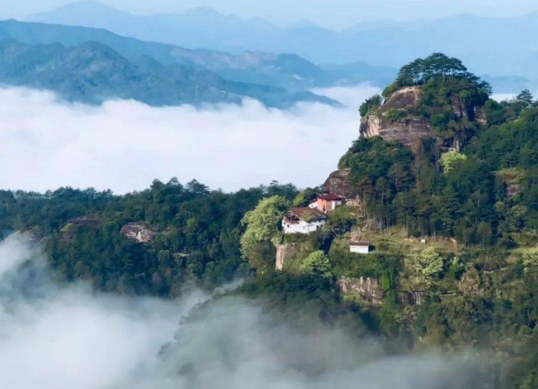 星村贡茶武夷山第五批非遗项目