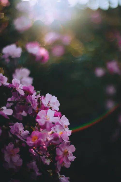 ec60718aab2d4d0dba8a6329ac0a2f89.jpeg