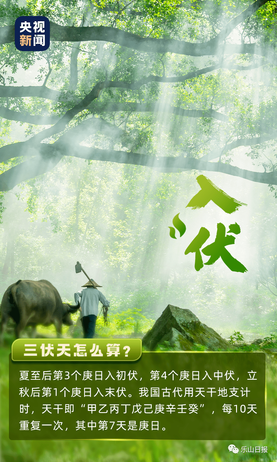 入伏2021全国头伏热力地图出炉乐山的天气情况