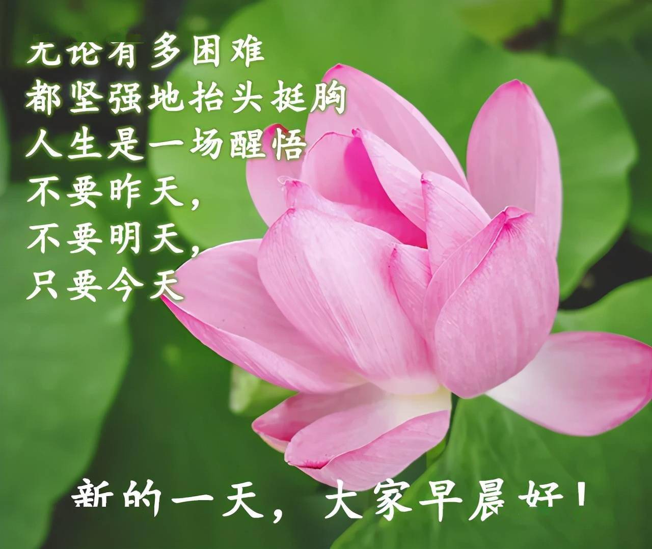 早安_贵有