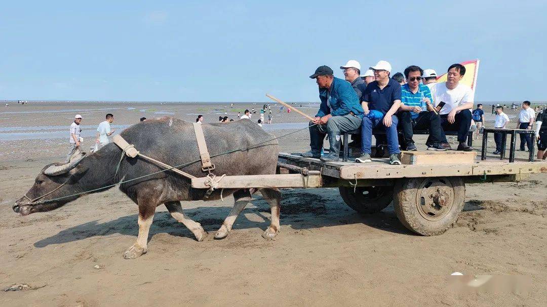 启东有多少人口_江苏海门市一个独特的镇,在崇明岛上,人口不足万人