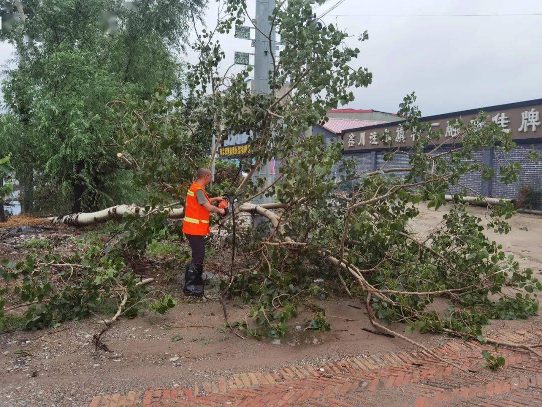 雨打排行_休闲食品品牌-雨打排行(2)