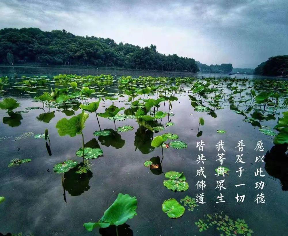 收拾归来 依旧水连天碧藏识|灵隐寺大雄宝殿的国运禄位藏识|还源去,无