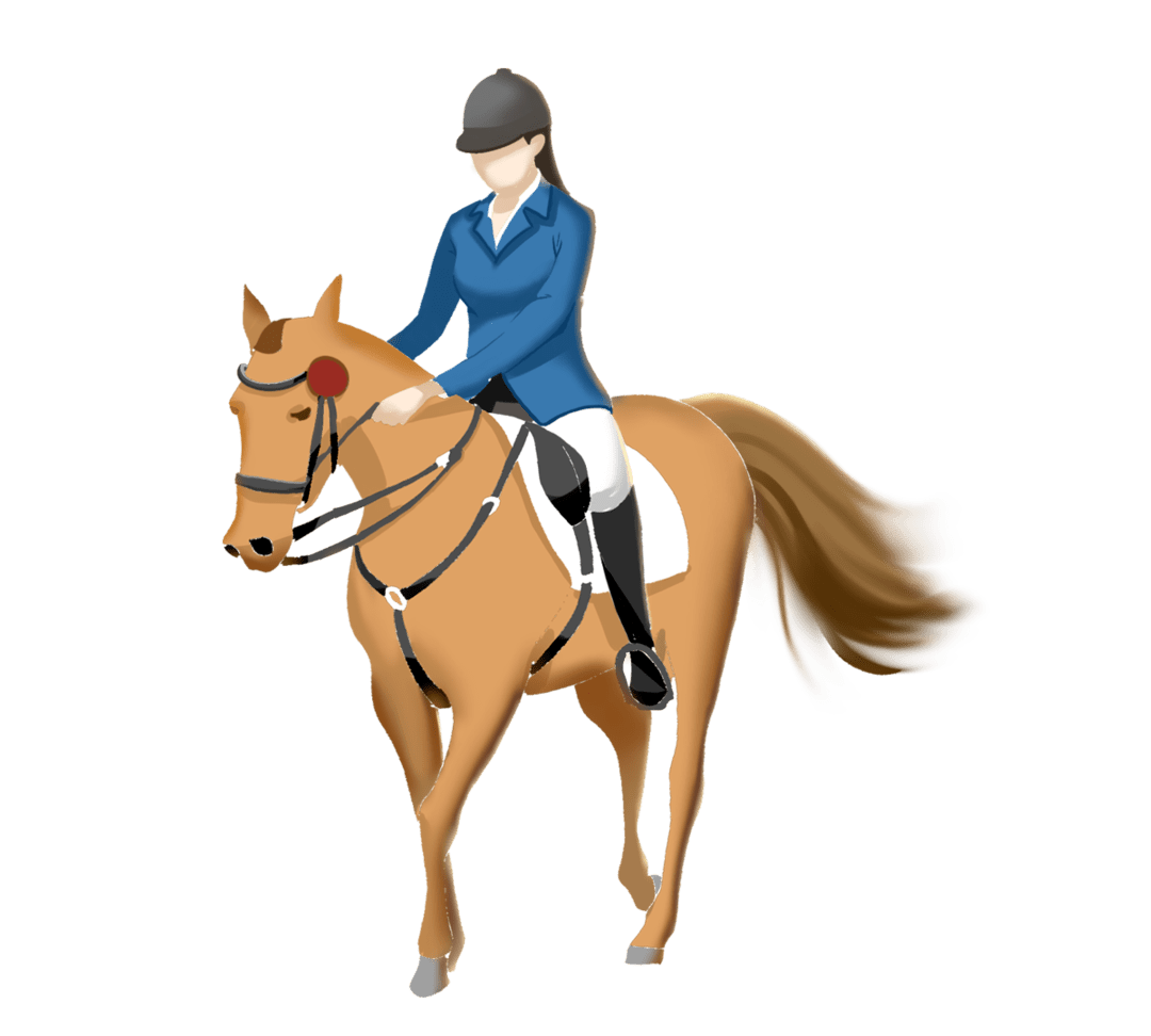 徐州少年参加省首届青少年马术锦标赛创佳绩_比赛