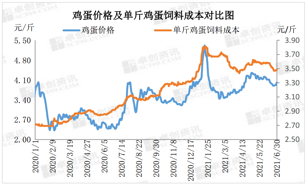 蛋價行情 | 東風已至,下半年蛋價破浪在即?