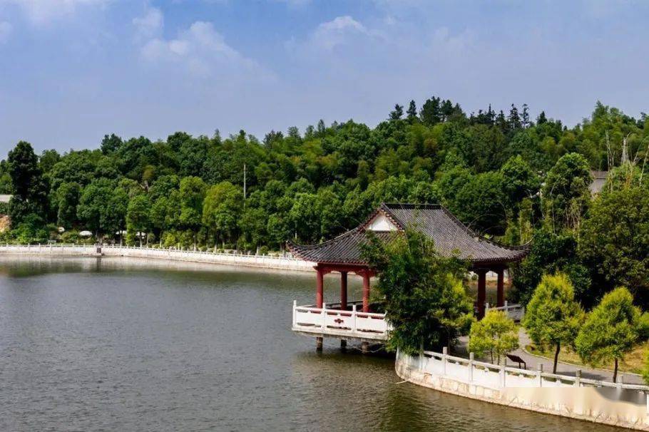 盘龙大观园被誉为