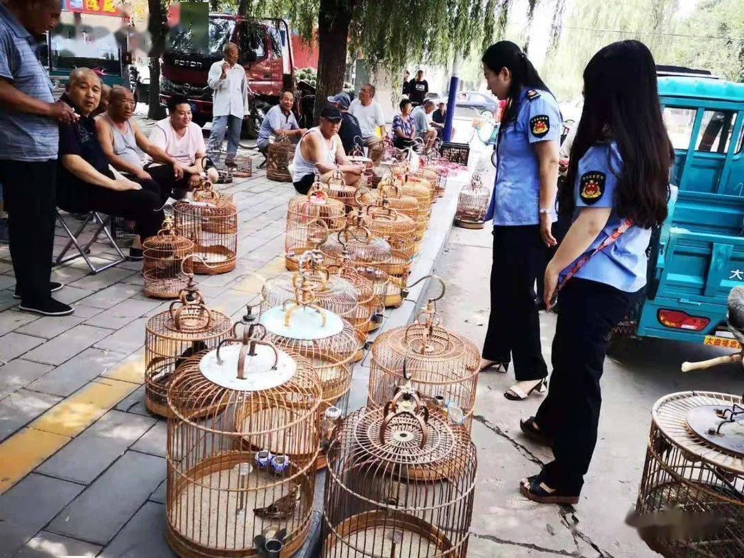 高阳县市场监督管理局加强野生动物保护工作