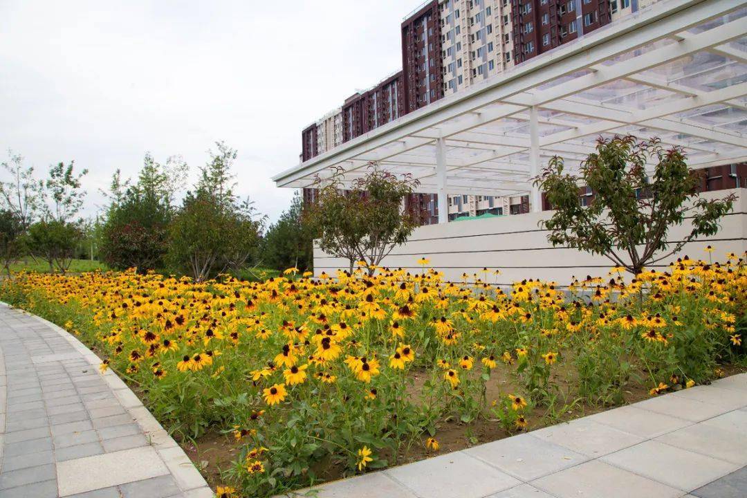 夏日公园盛夏游玩好去处太舟坞公园