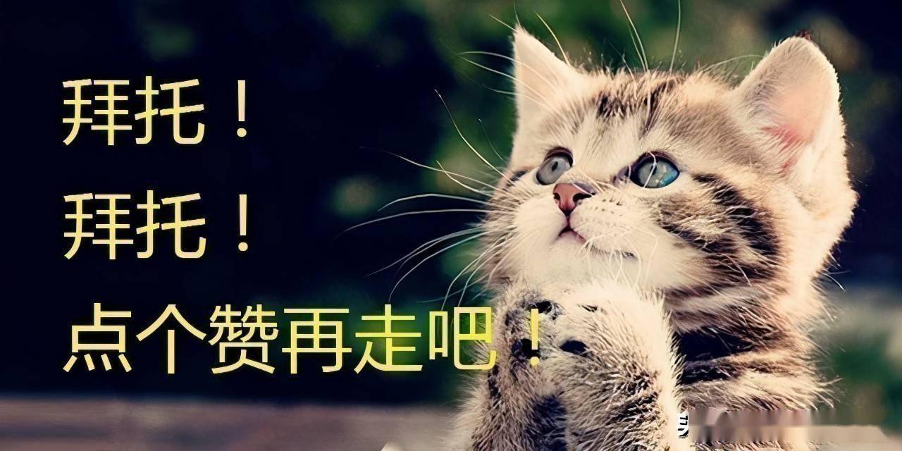 文章配图-1