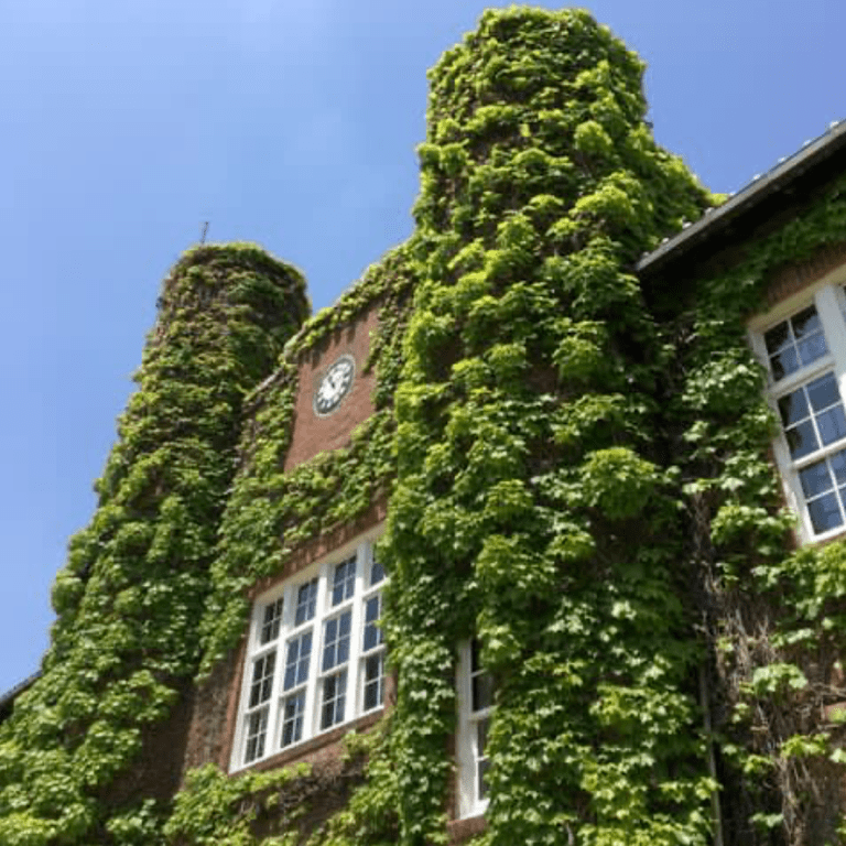 東京工業大學,慶應義塾大學,早稻田大學,京都大學學長現身說法