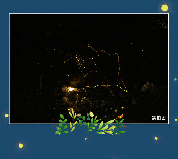 美爆了!萤火虫点亮山间夜色,盛夏狂欢已开启!_碧头