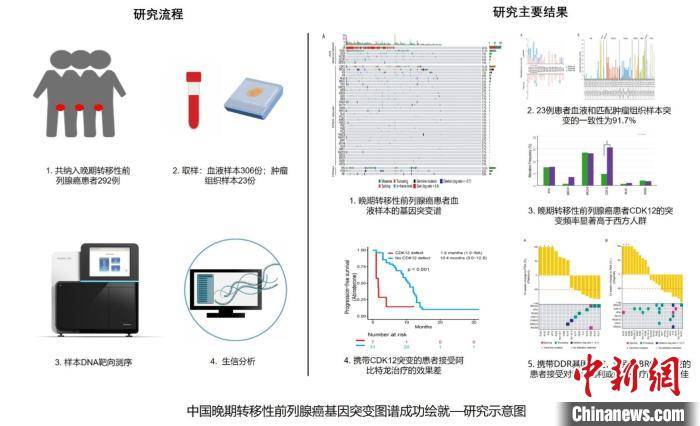 中国多中心大样本研究取得新成果 一管血 破解国人前列腺癌基因突变 密码 患者