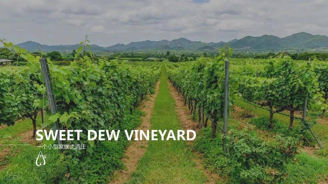 招聘|实不相瞒，这些中国酒庄都缺人！