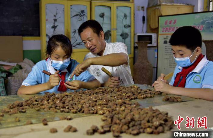 过程|河北临城学生走进山核桃非遗文化 体验镶嵌之美