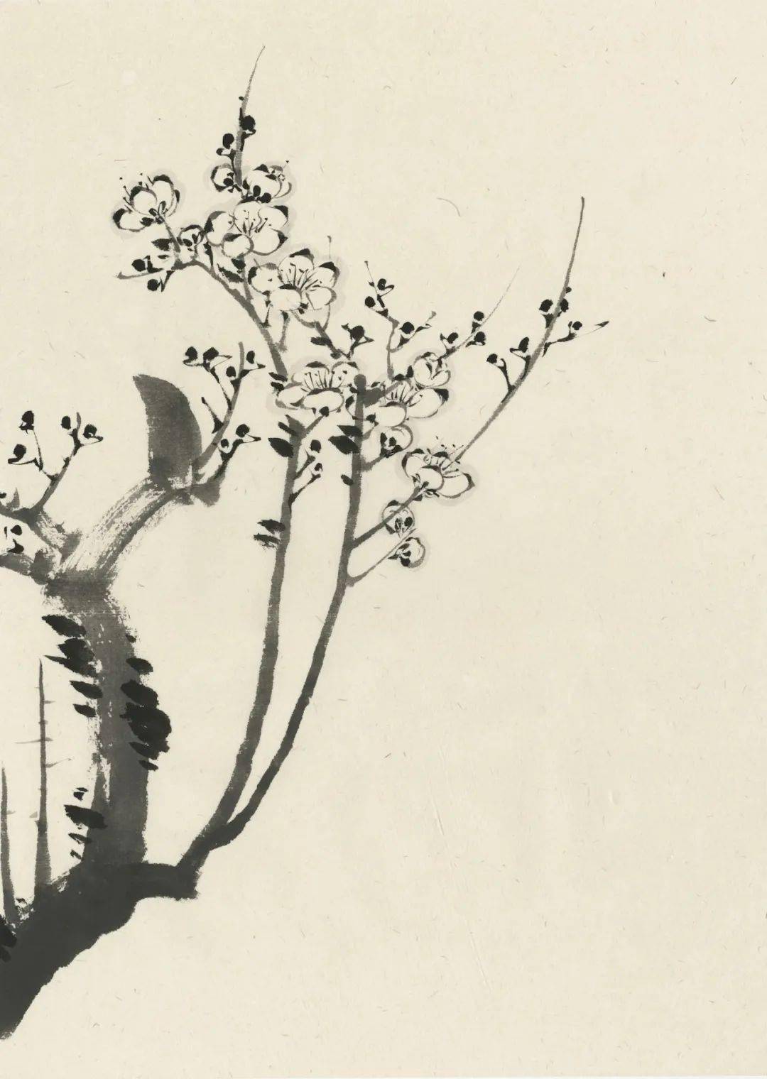 方严笔墨释君子中国画梅兰竹菊系列梅技法与意韵全解析