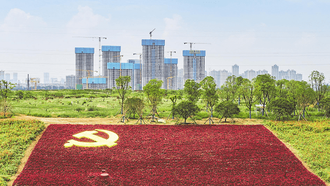 5万支玫瑰花汇聚成党徽.