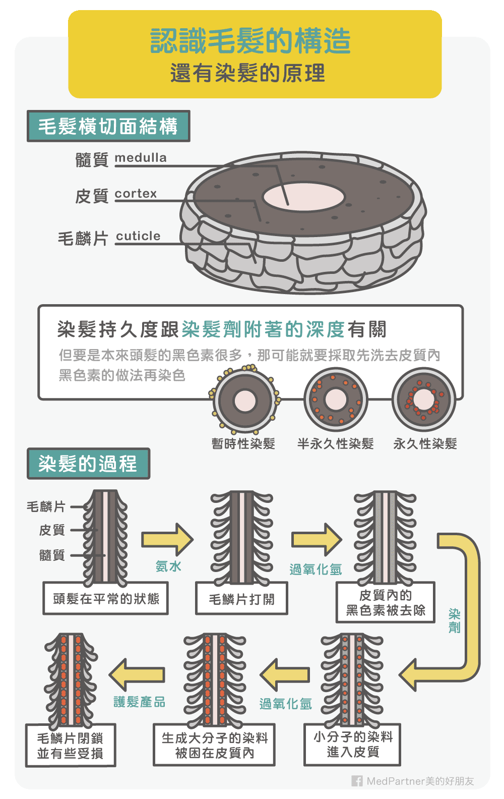 智商|染发的人那么多,快乐的没有几个