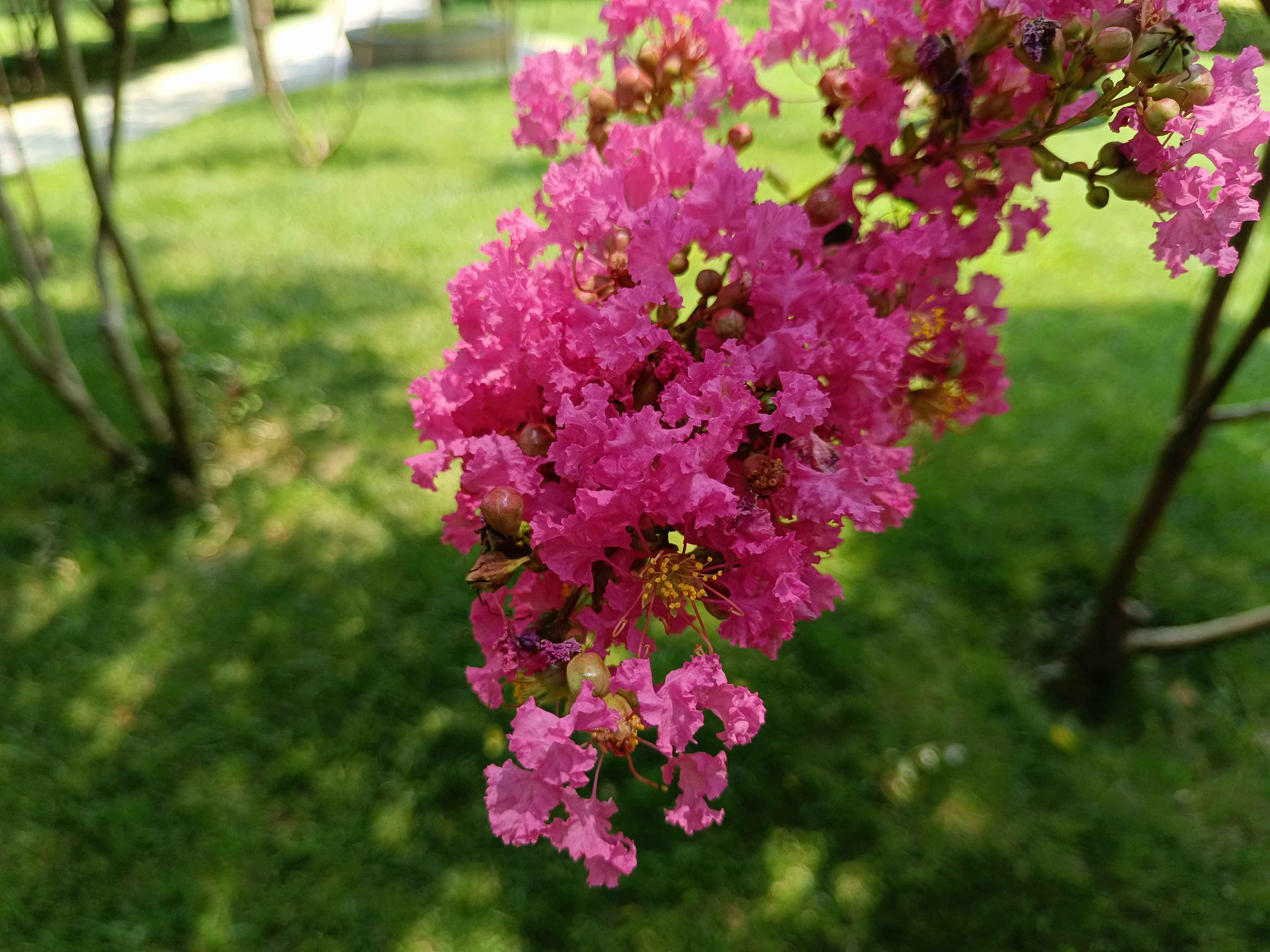 vivos10pro评测一亿像素拍出十亿种美