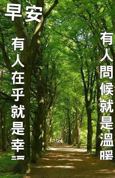 9張炎炎夏日有創意的友情早上好免打字圖片帶祝福語夏日溫馨的大家