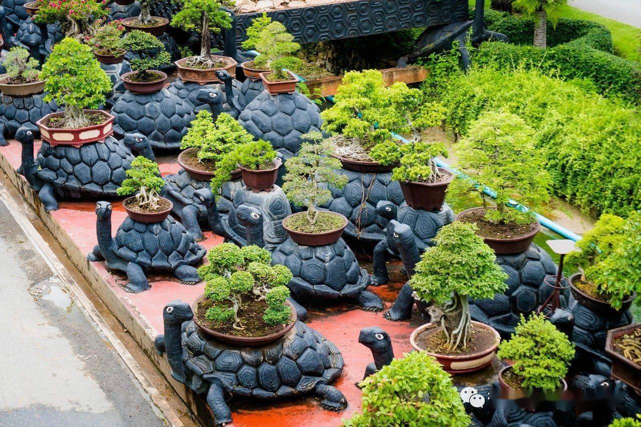 世界顶级盆景园