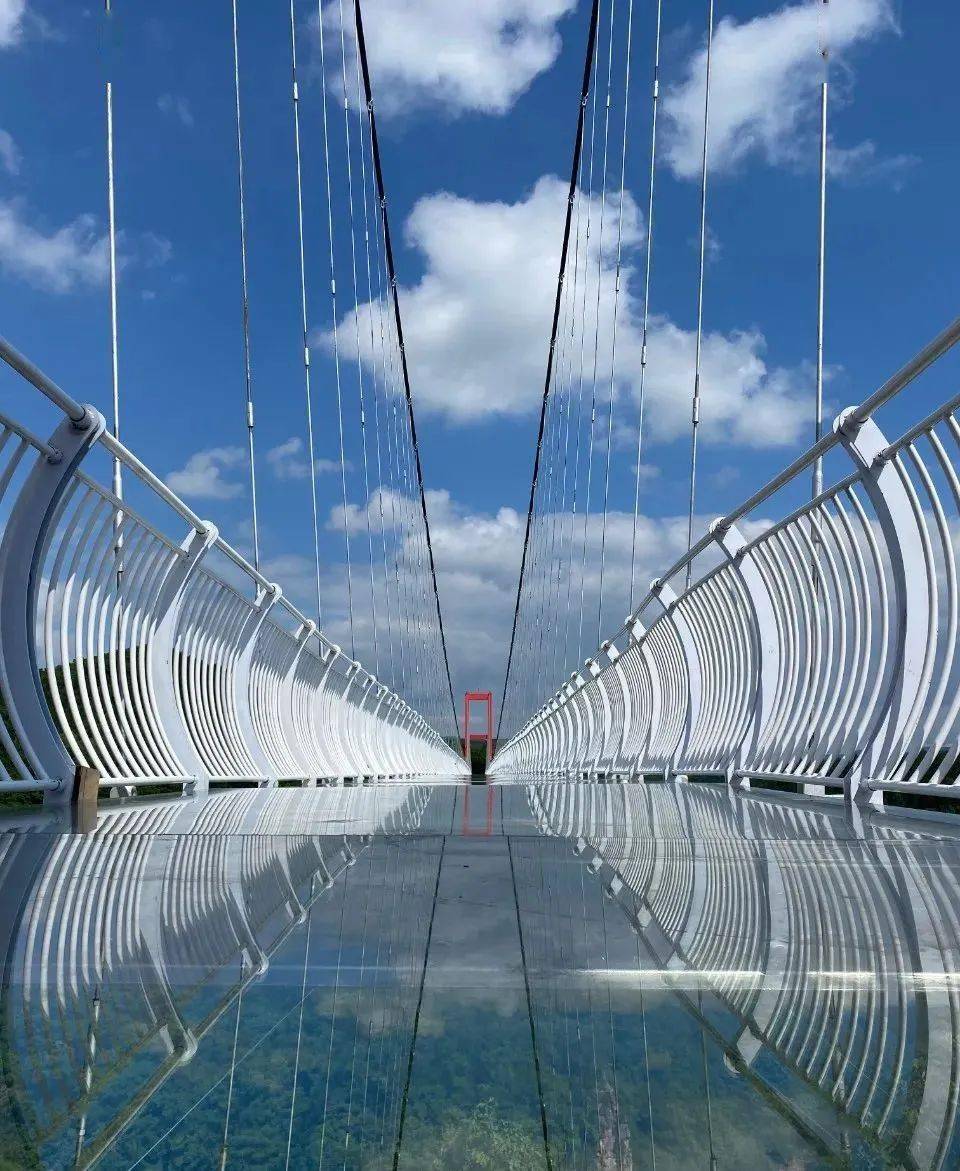 身边是云雾微风脚下是山林树木全长528米的斜拉式玻璃悬索桥走在上面