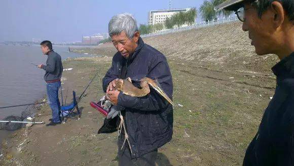 這位大爺厲害了,別人釣魚,他釣鳥_魚鉤