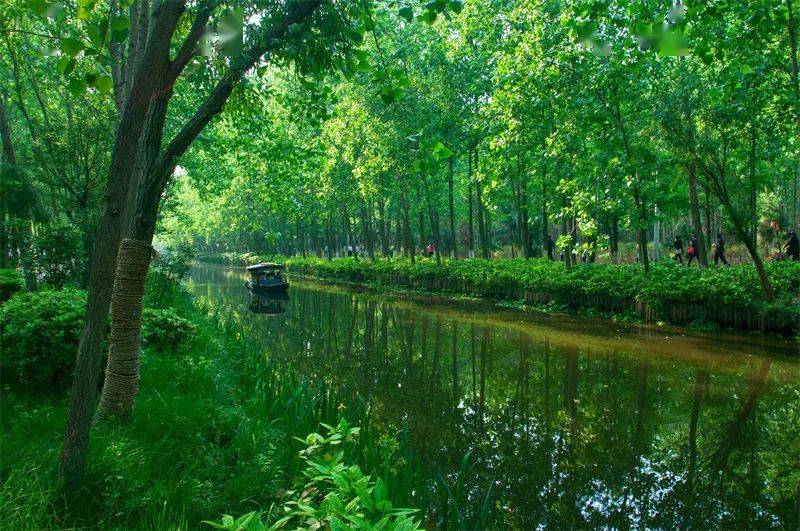 濱湖國家森林公園