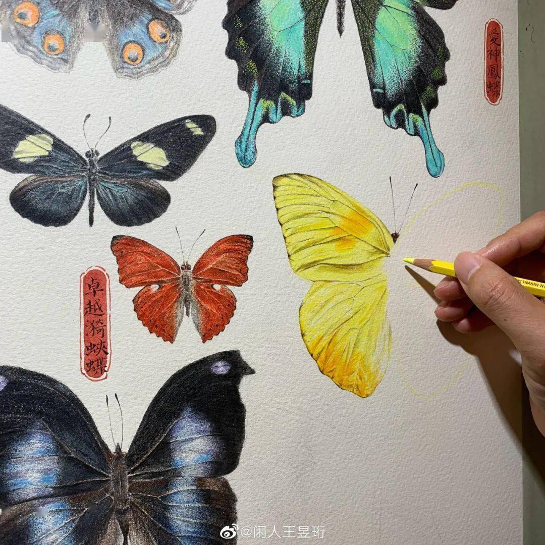 全能才子王昱珩清华毕业不工作鼓励女儿不上学却是人人膜拜的终极男神