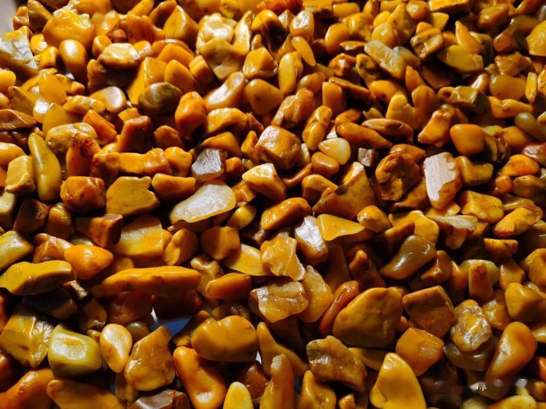 寿山田黄原石精品欣赏