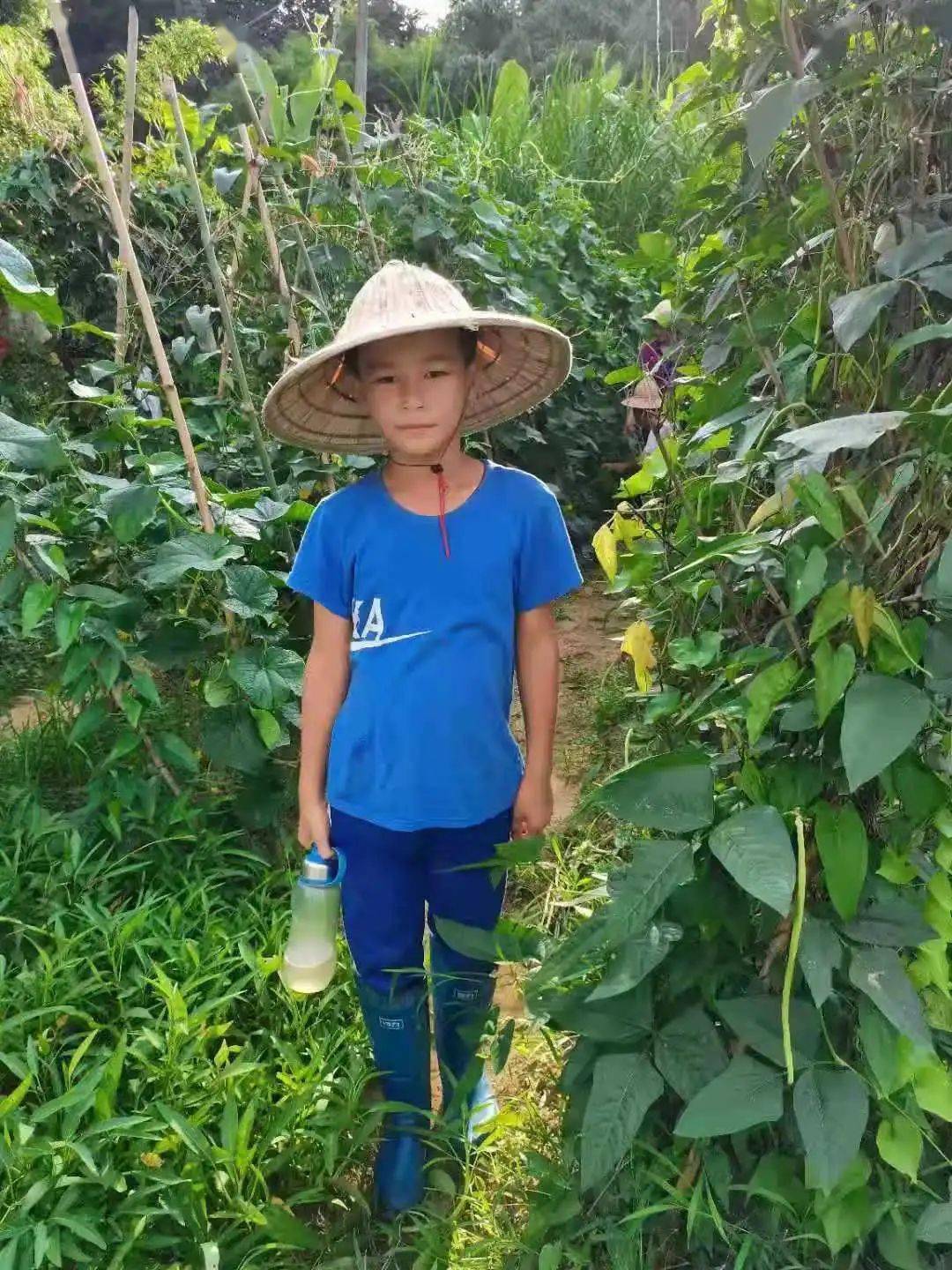 多彩暑假菜园里的小蜜蜂小宝游泳记