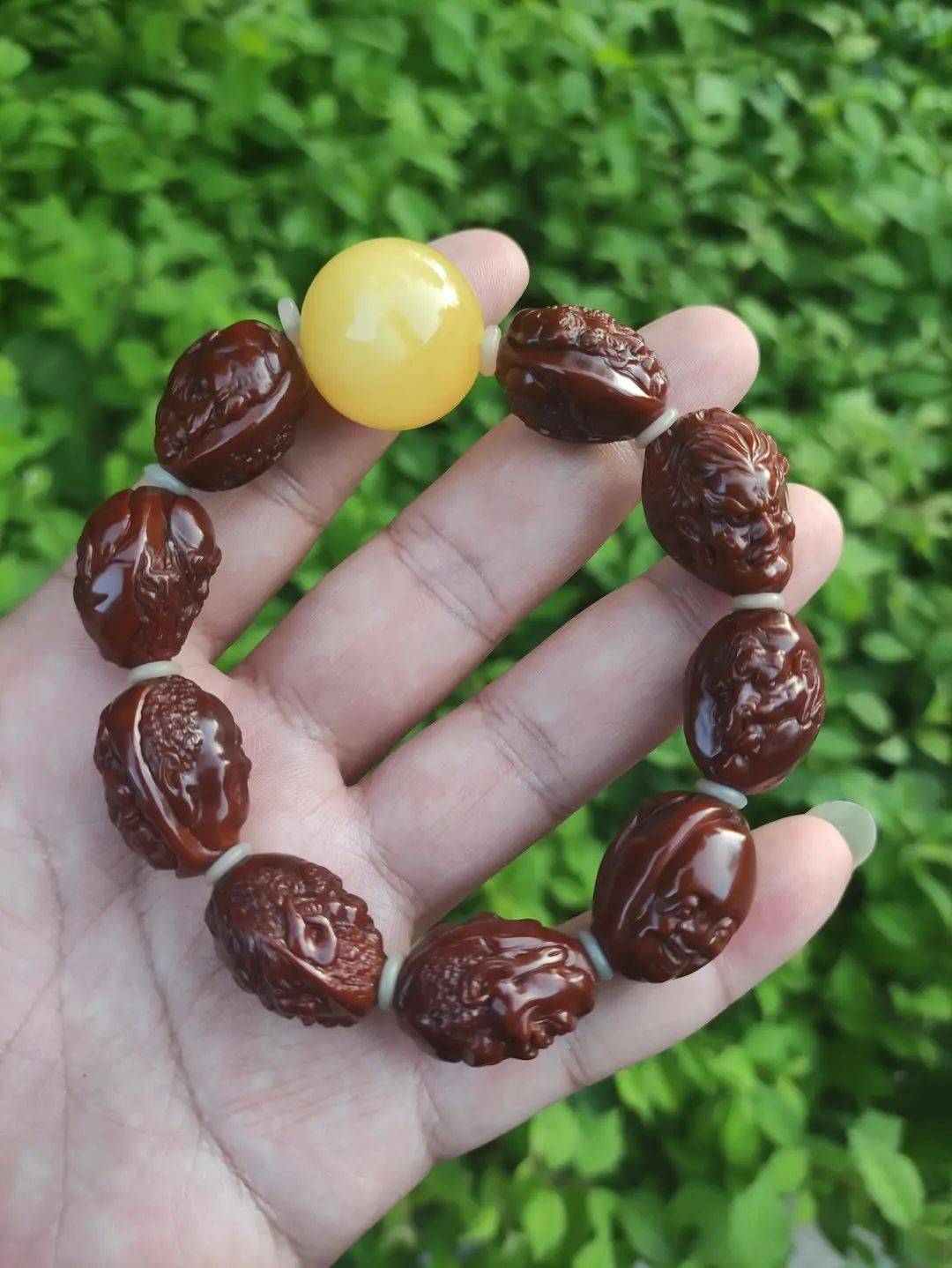 橄榄核隔片的选择