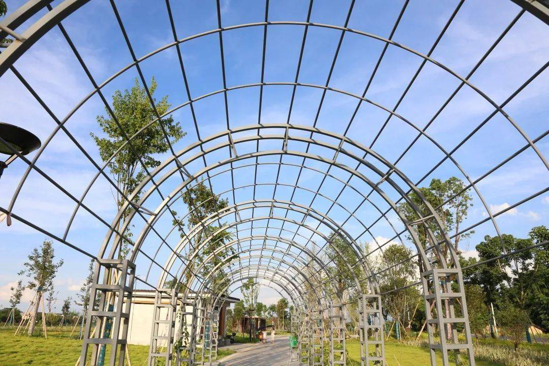 太舒适啦始兴这个生态园成网红景点水天一色