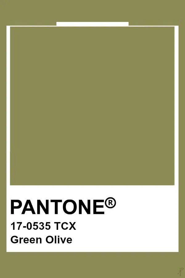 大理石案例2021pantone流行色橄榄绿家装设计