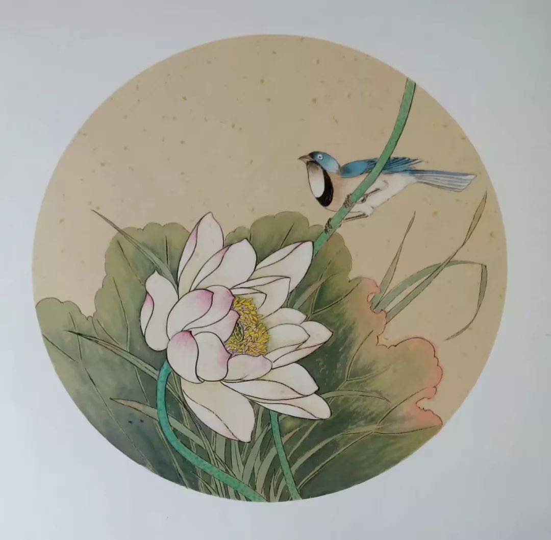 花鸟小品50幅,清新动人!_国画