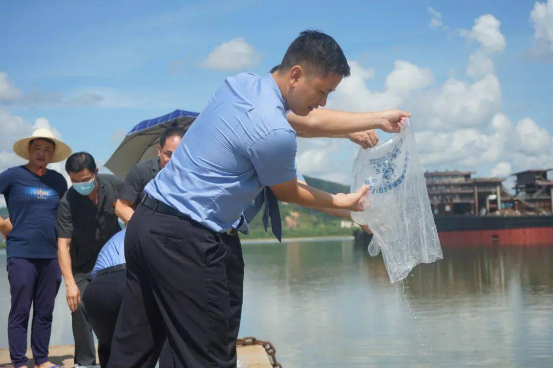 事发台山三人非法捕捞获刑被罚增殖放流15万尾