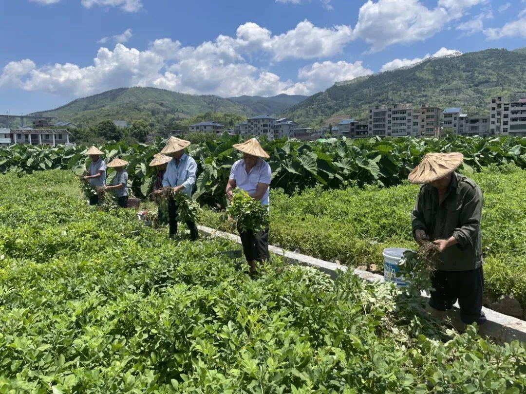 福建长庆图片