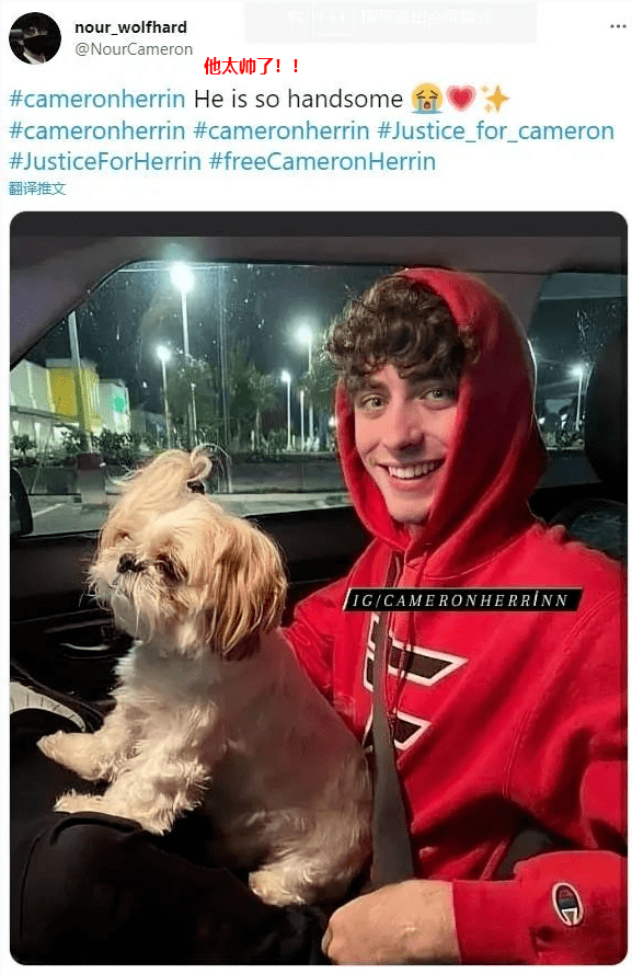 大批迷妹求情:长太帅,放过他!_herrin