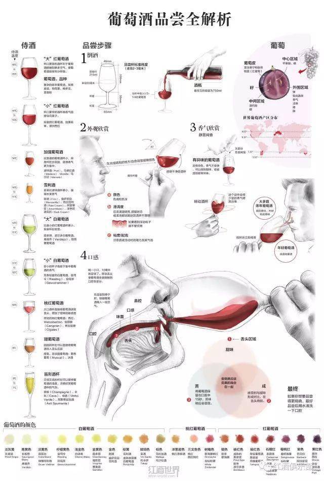 类型图|影响葡萄酒世界的十幅图