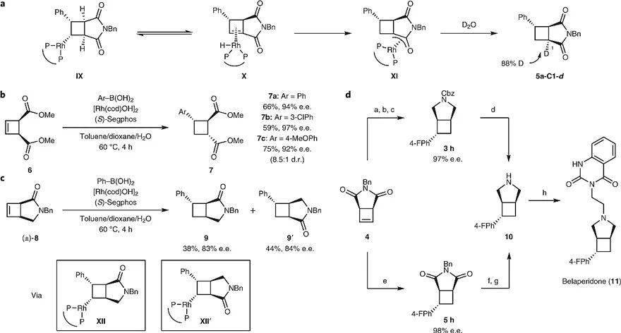 natchemrh催化环丁烯的不对称交叉偶联构建环丁烷骨架