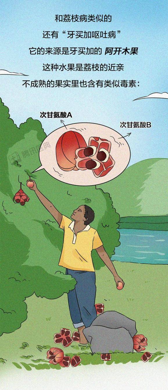 生物|吃下荔枝后，122个孩子永远地离开了